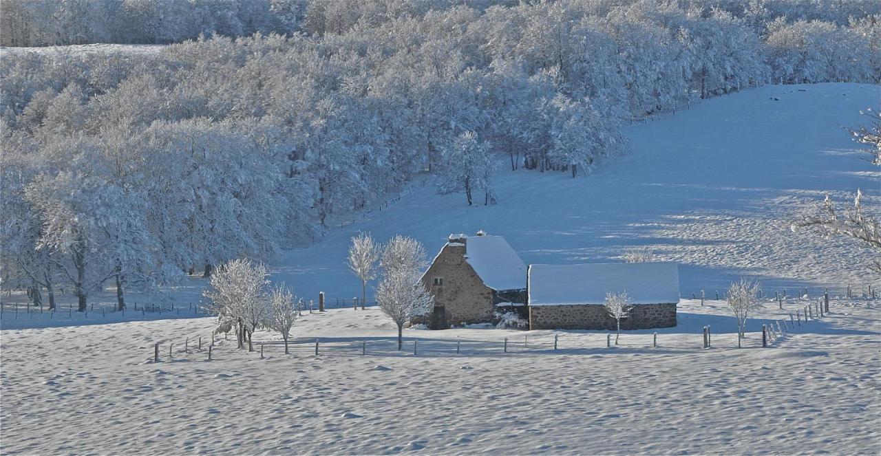 AUX PORTES D'AUBRAC studio 2 personnes Bed and Breakfast Condom-d'Aubrac Esterno foto